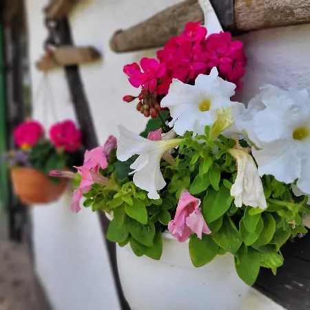 Casa de Férias Schwalbennest Ofc 24