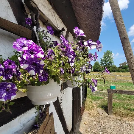 Casa de Férias Schwalbennest Ofc 24