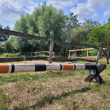 Schwalbennest Ofc 24