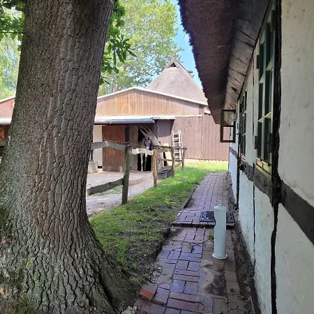 Schwalbennest Ofc 24