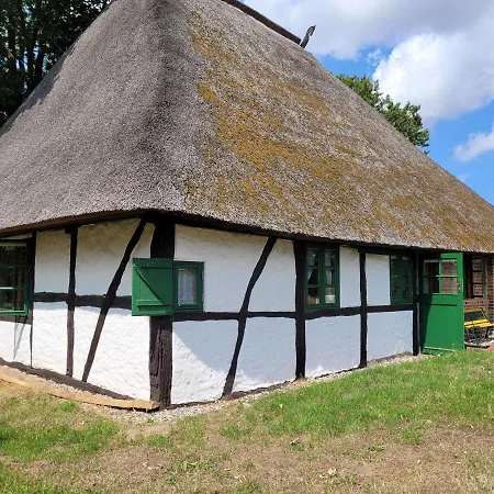 Schwalbennest Ofc 24 *