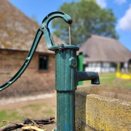 Schwalbennest Ofc 24