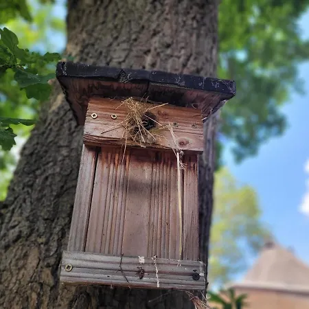 Schwalbennest Ofc 24 Casa de Férias Biendorf