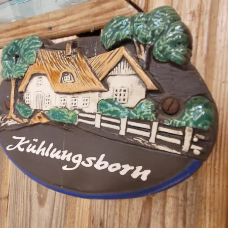 Schwalbennest Ofc 24 * Biendorf