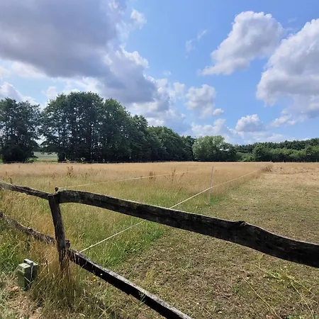 Schwalbennest Ofc 24 Casa de Férias *