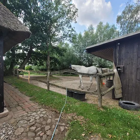 Holiday home Schwalbennest Ofc 24 Biendorf