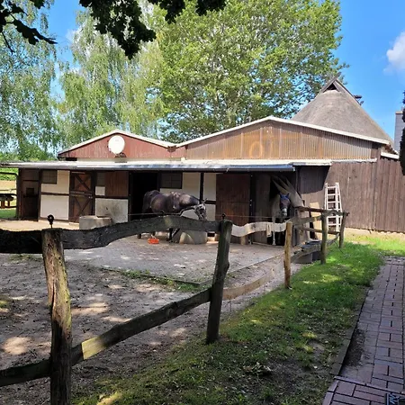 Schwalbennest Ofc 24 Biendorf