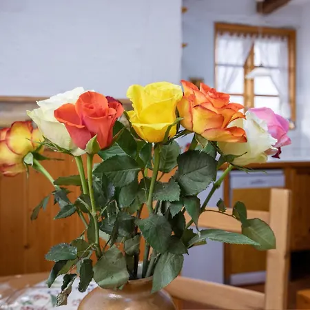 Casa de Férias Schwalbennest Ofc 24 Biendorf