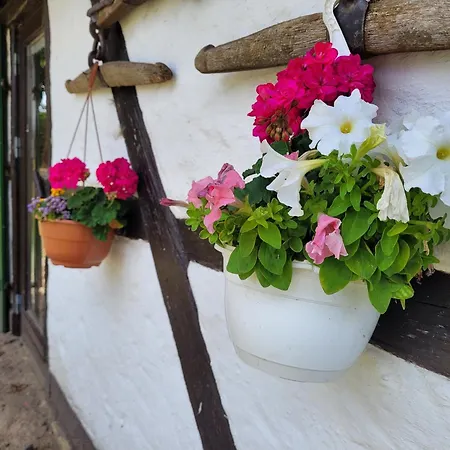 Schwalbennest Ofc 24