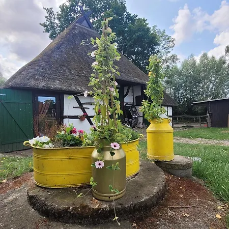 Casa de Férias Schwalbennest Ofc 24 *