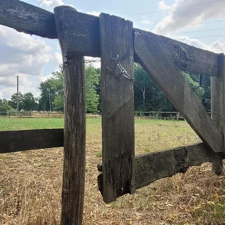 Schwalbennest Ofc 24