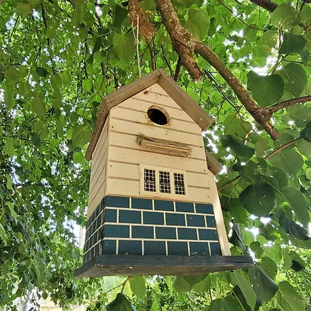 Schwalbennest Ofc 24 Casa de Férias