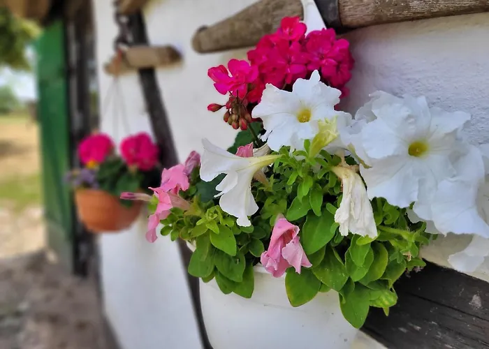 Semesterbostad Schwalbennest Ofc 24