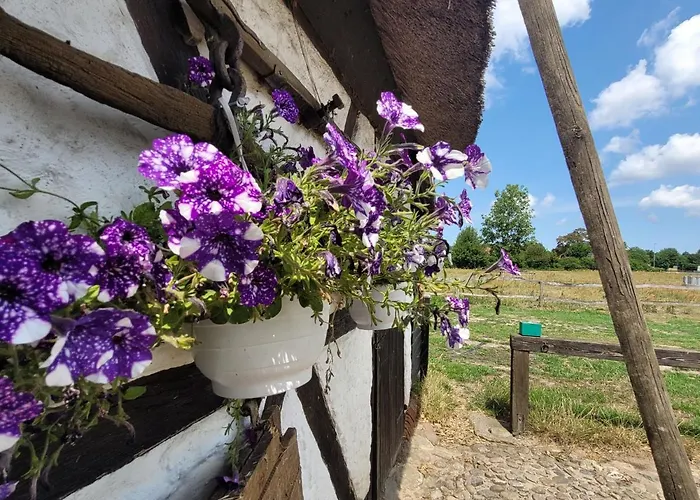 Semesterbostad Schwalbennest Ofc 24