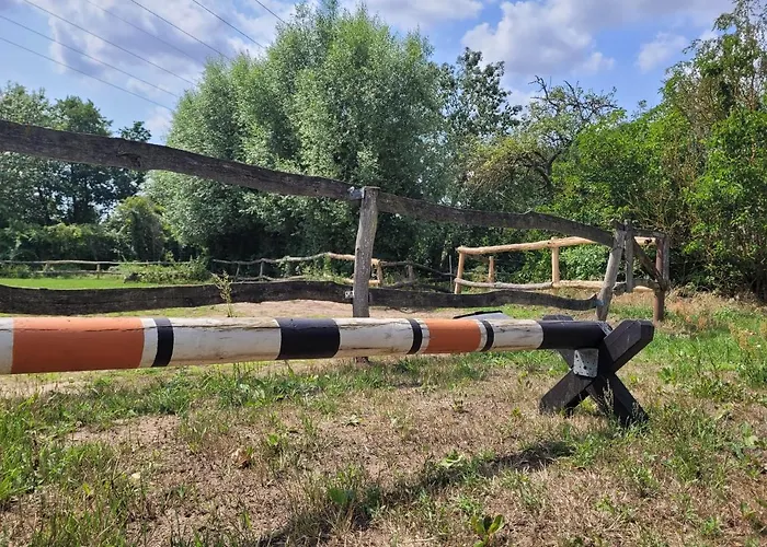 Schwalbennest Ofc 24