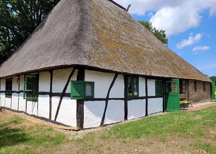 Schwalbennest Ofc 24 *