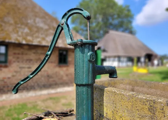 Schwalbennest Ofc 24