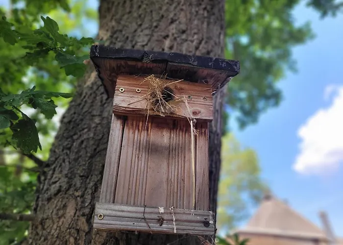 Schwalbennest Ofc 24 Semesterbostad Biendorf