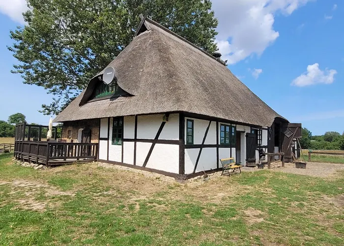 Schwalbennest Ofc 24 Biendorf