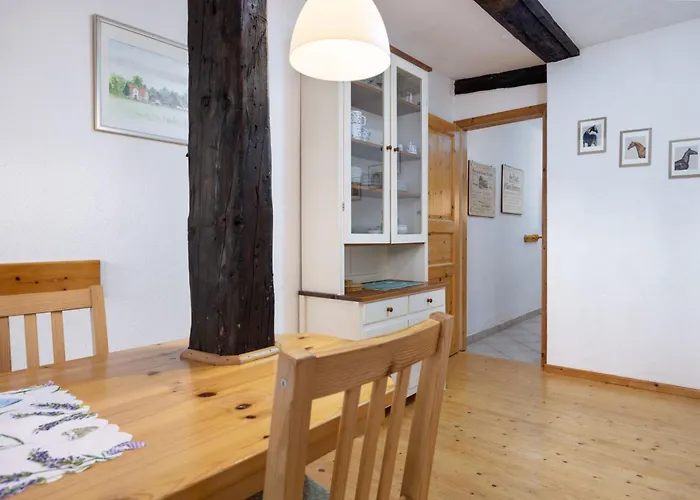 Schwalbennest Ofc 24 * Biendorf