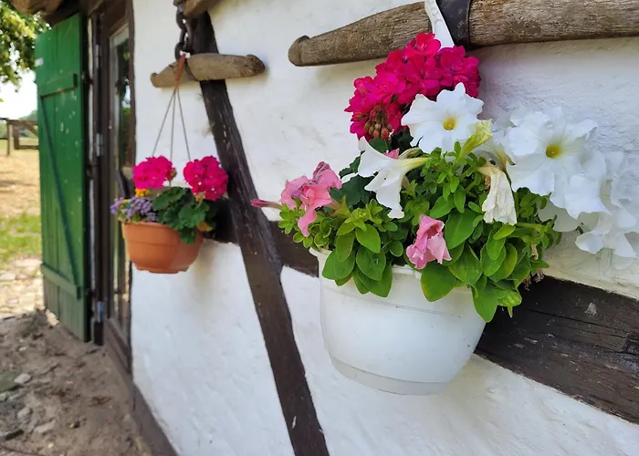 Schwalbennest Ofc 24