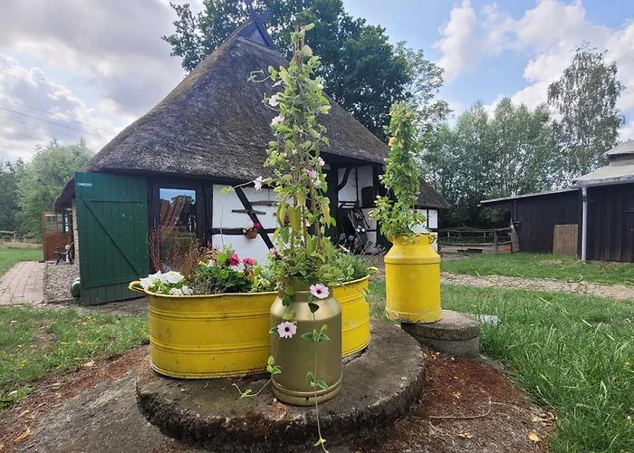 Semesterbostad Schwalbennest Ofc 24 *