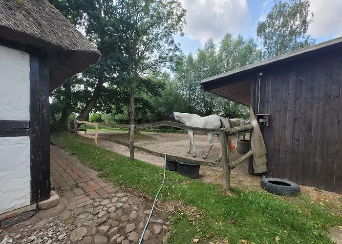 Schwalbennest Ofc 24 Semesterbostad *