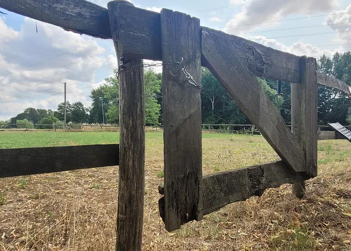 Schwalbennest Ofc 24