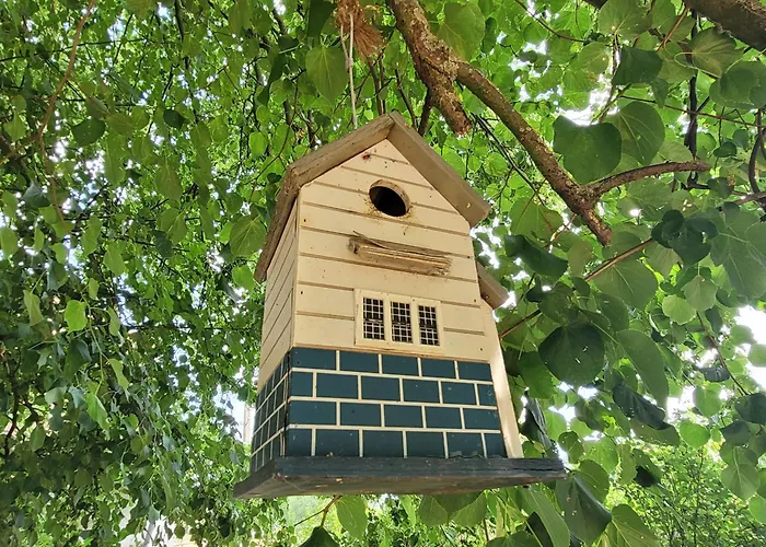 Schwalbennest Ofc 24 Semesterbostad