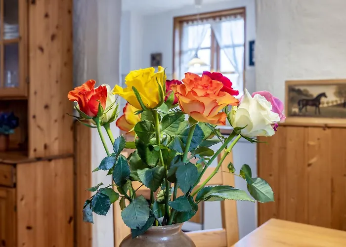 Semesterbostad Schwalbennest Ofc 24 Biendorf